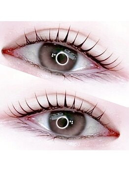 ティーズラッシュ アンド ブロウ ケービューティー 新浦安(T's Lush & Brow K-beauty)/まつげパーマ