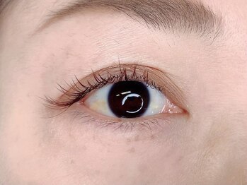 アイクイック 日暮里 西日暮里駅前店(Ai Quick)/ワインレッドカラー/100本