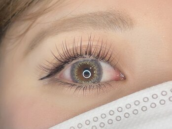 くるり 上野店/ブラウンフラットラッシュ140本