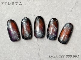 ハンド定額プレミアムコース
