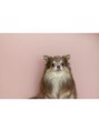 ルアナ(Luana.) 愛犬のショコラです☆動物大好きです(*＾＾*)
