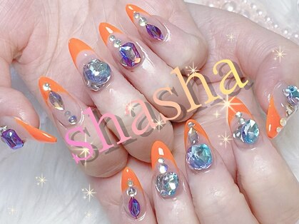 シャシャ(shasha)の写真