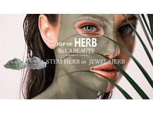 ドクター ヴィーナス/