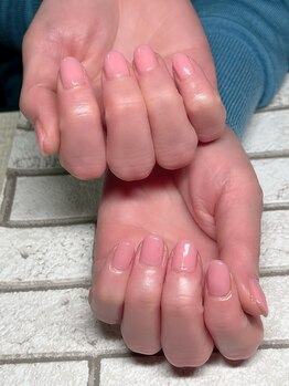 シェルミー(Shellmy)/ワンカラー