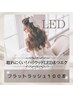 【LED】持続力アップ☆ハリウッドLEDフラットラッシュ100本（カラーOK)オフ込