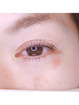 フェザー(feather)/