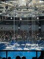 ウェクシー 名古屋駅前店(WECXII) 国内旅行に行く時にはなぜかよく水族館に行きます、