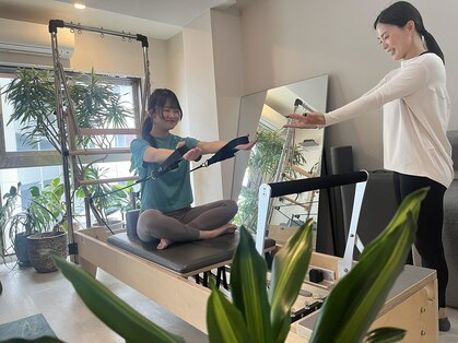 シルワ(SILVA)の写真