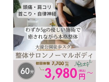 ノーマルボディ