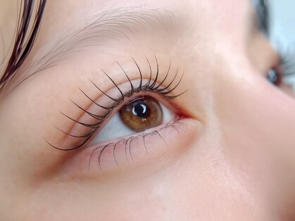 シルクアイラッシュ 横浜関内店(Silk eyelash)の写真