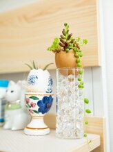 整体と運動療法指導のセートレ/お客様からいただいた植物