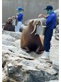 ケアハウスビューティー 戸塚(CARE HOUSE beauty)&nbsp;水族館も大好きです!!行ってみたい水族館は鳥羽水族館です。