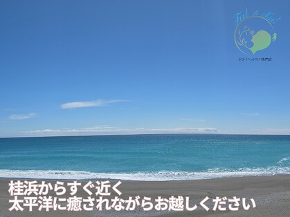 フィールソーナイス(Feel So Nice)の写真