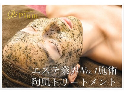 プラム(PLUM)の写真