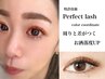 持続力UP【特許技術】Perfect Lash 220本¥9900／260本¥11000
