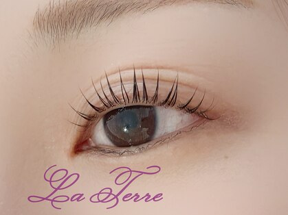 ラテール(La Terre)の写真