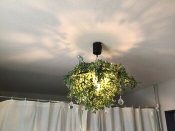 癒しの小鳥/森のシャンデリア