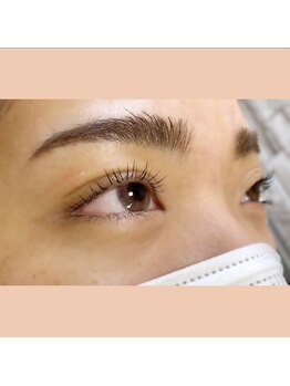 ジョリー(Jolie)/