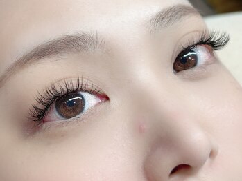 ニコ アイラッシュ(Nico eyelash)/3Dボリュームラッシュ80束