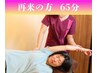 全身整体・カイロ65分 ＜再来の方＞  ¥9500