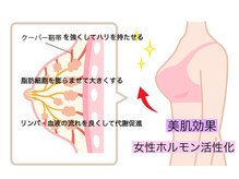 キラリア(Kiraria)/バストケア