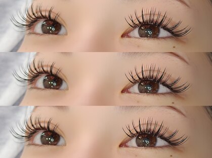 メルシー(Merci)の写真