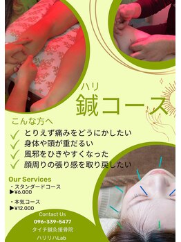 タイチ鍼灸接骨院/鍼(ハリ)コースです。