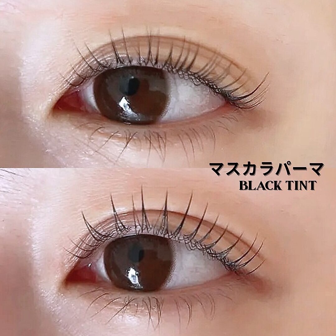 【マスカラパーマ導入♪】まつげパーマ+ブラックティント￥5500