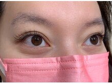 ルピナス(Lupinus)/ボリュームラッシュ400本