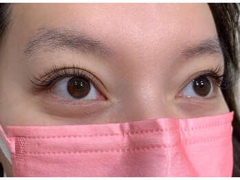 ルピナス(Lupinus)/ボリュームラッシュ400本