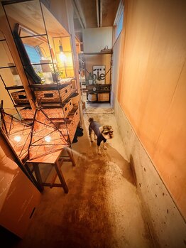 サロン ドゥ レキューム(Salon de L’ecume)/玄関