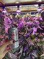 サロンエヌ(salon N) 弱いですがお酒を飲むのも好きです♪