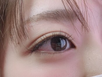 アンボワーズ(Amboise)/アップワードラッシュ