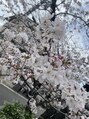 マハロ(mahalo)&nbsp;小・中・高の三姉妹の母です。パワフルお母さん目指してます！！