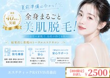 エステティック レイビス 青森店(RAYVIS)