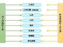 エステサロン ジジ 新宿(JIJI)/ハーバルピールとケミカルの違い