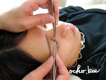 オチョビー(ocho.bee)/マツエクデビューの方にも◎