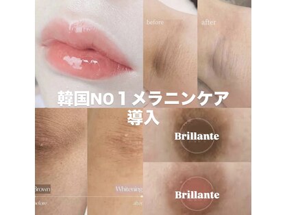 ブリランテ(Brillante)の写真