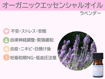 ぷるるんエステ/肩こり/リンパ/マッサージ/小顔