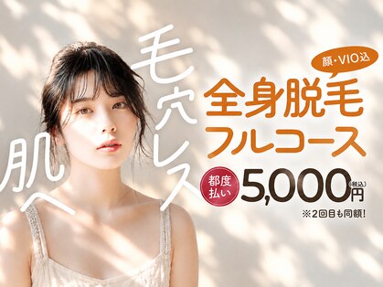 ハコ(haco)の写真
