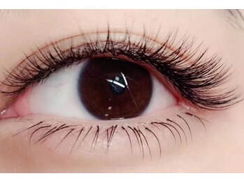 アリエル(Ariel)/セーブル上下つけ放題