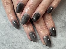 エヌドットプラスネイル(N.plus NaiL)/マグネットワンカラー