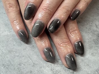 エヌドットプラスネイル(N.plus NaiL)/マグネットワンカラー
