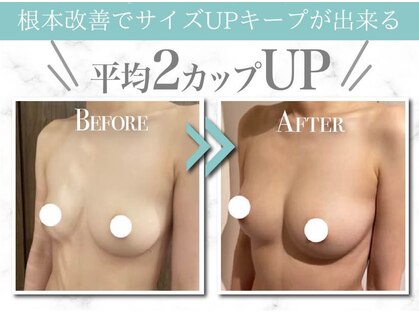 美人バスト 町田店の写真