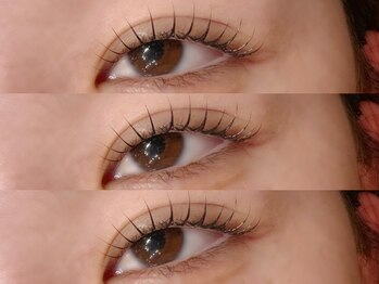 メイル(meil)/ラッシュリフト/まつ毛パーマ