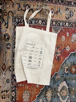 ガーベラ(Gerbera)/