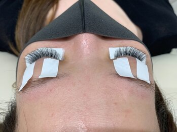 ルピナス(Lupinus)/ボリュームラッシュ500本