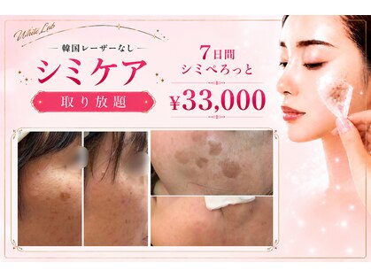 シュシュ(CHUCHU)の写真