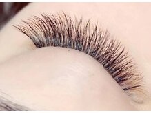 アリエル(Ariel)/5Dボリュームラッシュ500本