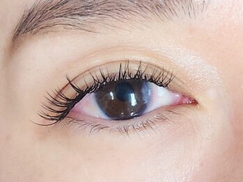 ネイルアンドアイラッシュ シシュ 高槻店(nail&eyelash SyiSyu)/クローバーフラットラッシュ